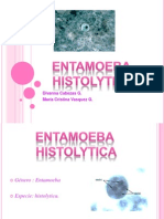 Entamoeba Histolytica