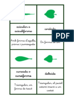 formes de les fulles amb descripció