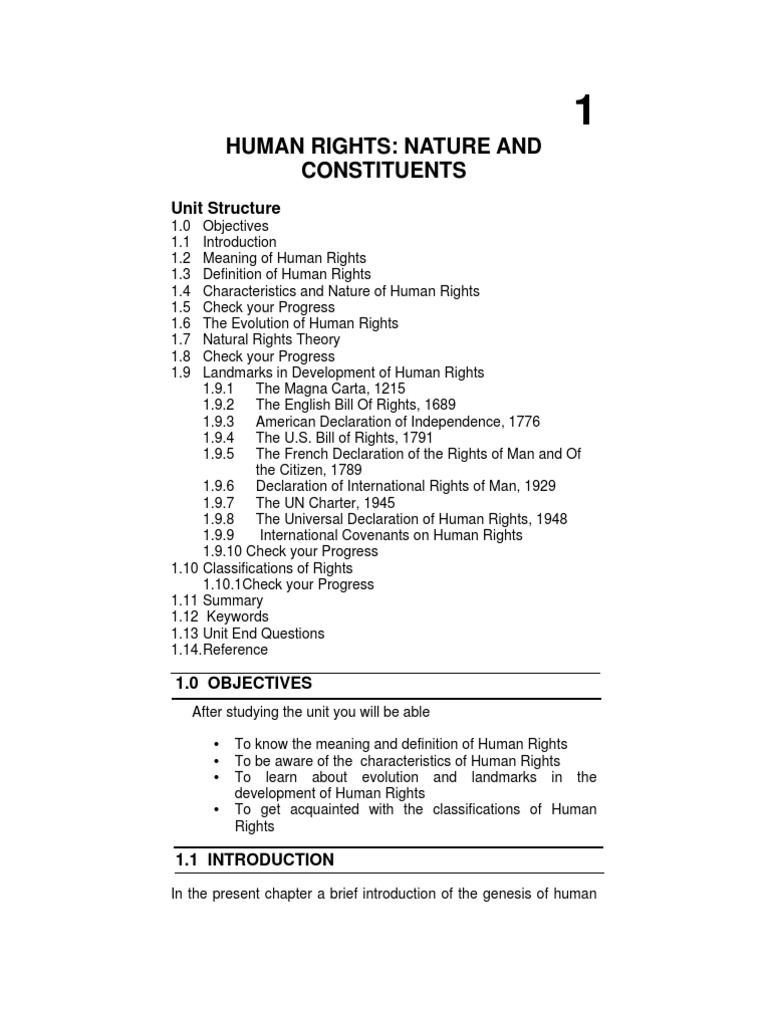 Human Rights | PDF