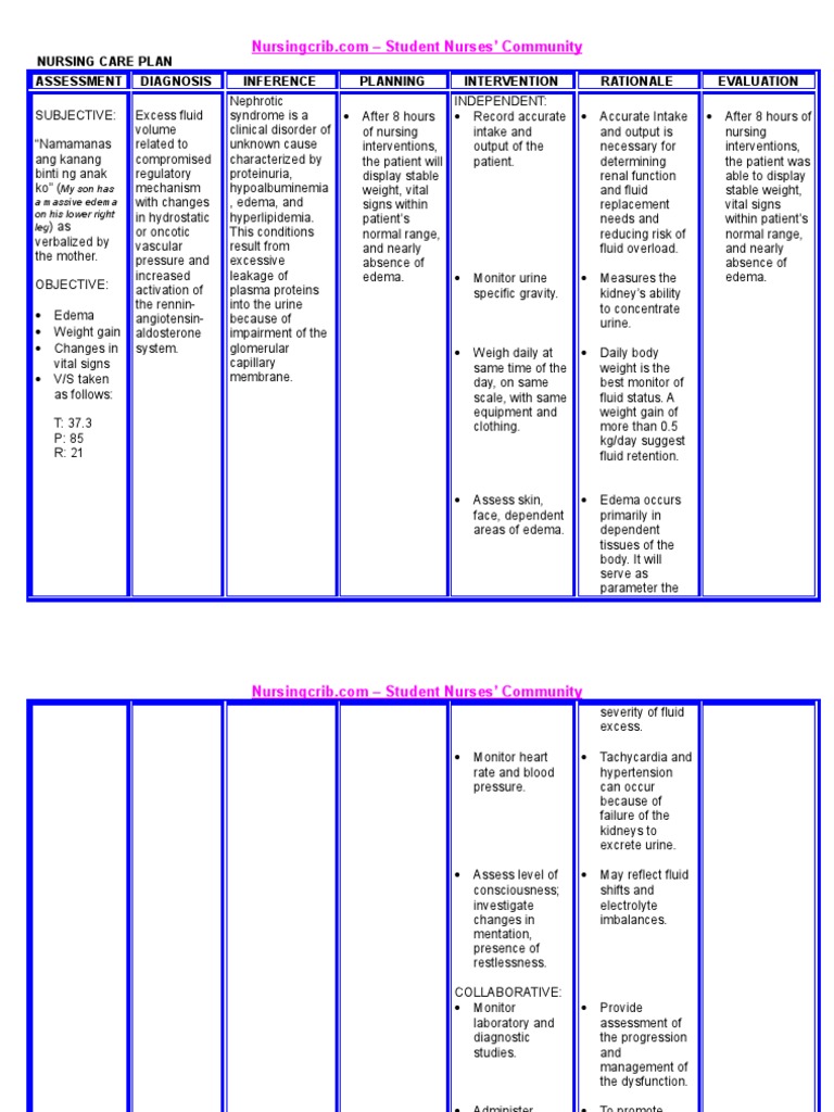Nursingcrib.com NURSING CARE PLAN - Nephrotic Syndrome