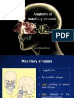 Anatomy of Ms