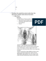 Download keputihan by IndahKWardhaniPutri SN116947704 doc pdf