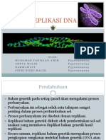 Reflikasi DNA Visit Danielbiologi.blogspot.com for Free