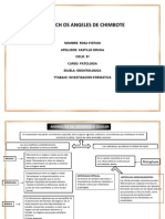 Tarea de Pato-3 (1)