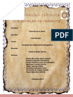 "PREVENCIÓN DEL ACOSO SEXUAL Y HOSTIGAMIENTO LABORAL" - Plan de Acción.