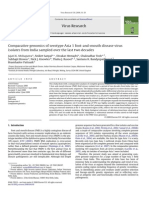 Comparative genomics of serotype Asia 1 foot-and-mouth disease