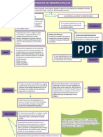 Anomalías Del Desarrollo Celular