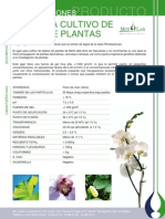 Agar cultivo plantas