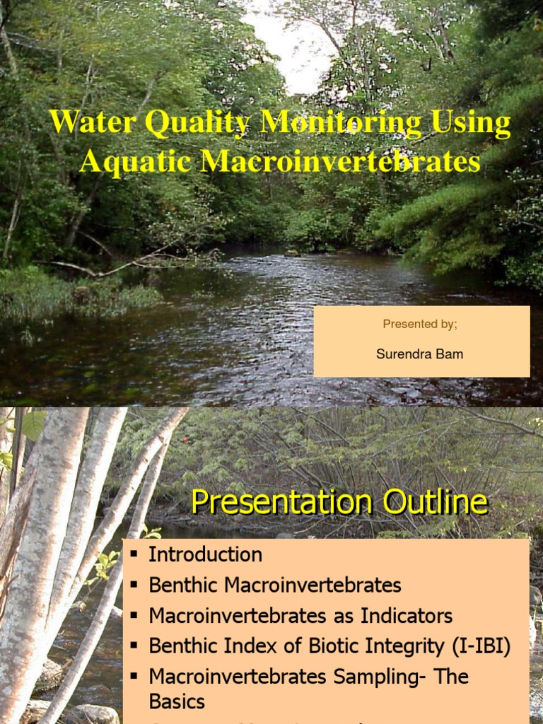 Benthic Macroinvertebrates PDF Water Quality Benthic Zone