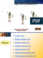Otot Sebagai Alat Gerak Aktif