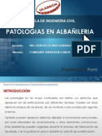 Patologia en Albañileria