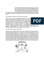 El Sistema Solar Ejemplo Con Imagen Del Sistema Definición de Que Es El Sistema