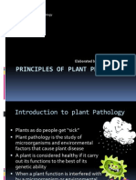 Principles of Plant Protection: Cairo University Faculty of Agriculture Department of Plant Pathology