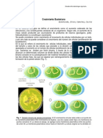 Unidad 3 Crecimiento Bacteriano