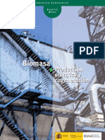 Biomasa - Producción eléctrica y cogeneración