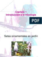 MICOLOGIA