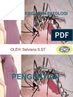 MALARIA DALAM KEHAMILAN