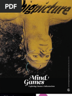 The Big Picture Issue 18