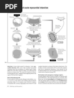 Download pathophysiology of myocardial infarction by kobe_andre15 SN11710468 doc pdf