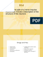 Describe The Path of A Nerve Impulse. Additionally Include A Description of The Structure of The Neurone