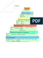 ETAPE in Planificarea Carierei