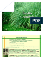 Gramineas