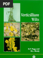 Download Verticillium Wilts by mohammadi SN117150980 doc pdf