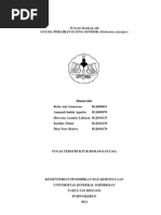 Download Makalah Biologi Gulma Gulma Air Eceng Gondok Eichornia Crassipes by Betta Ady Gunawan SN117192995 doc pdf