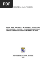 Entre Rios, Cidades e Florestas - Edilene Ferreira