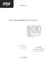 Mitos e luzes em representações da Amazônia - Celdon Fritzen