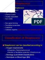 streptococci