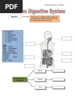 Download Exercise digestive systempdf by Izudin Hasan SN117236122 doc pdf