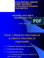 Curs Sisteme Contabile Informatizate