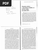 Cultura brasileira e identidade Nacional