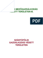 08 Erdo MezoSzantof PDF