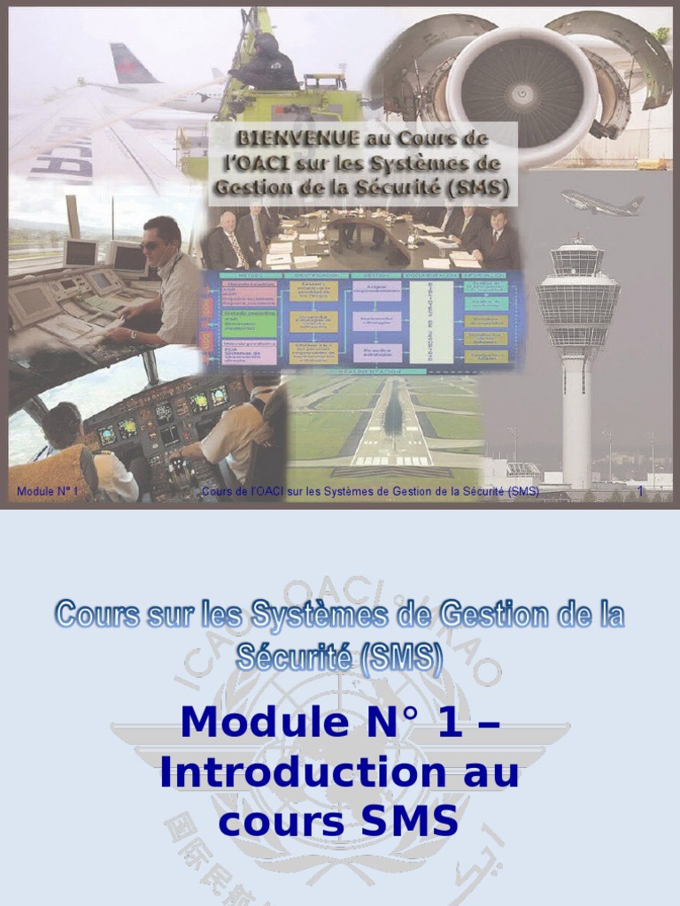 OACI SMS Module #1 - Introduction Au Cours SMS 2008-11 (PF) | PDF ...