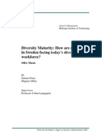 Diversity Maturity