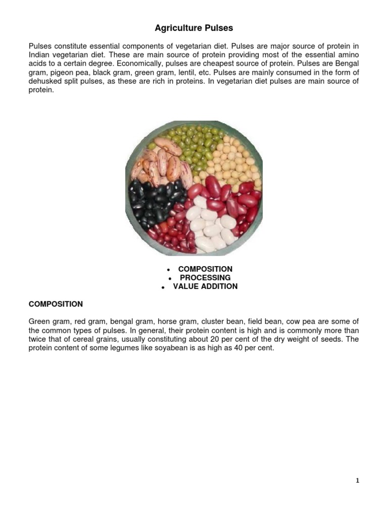 Agriculture Pulses Chickpea Legume