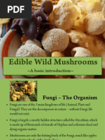 Download Edible Wild Mushrooms by aptomlinson SN117368612 doc pdf