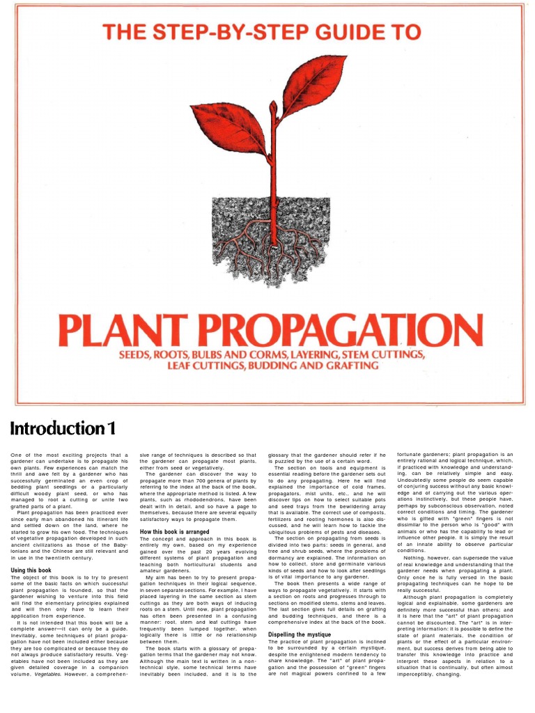 Plant Propagation PDF
