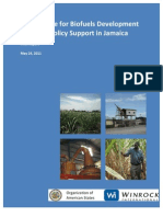 OAS, Assistance For Biofuels Development and Policy Support in Jamaica, 5-2011