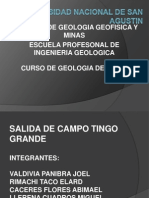 Geologia de Minas Tingo