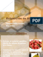 Extracción de ADN: Jeanine Vélez Gavilán Biol 3051L