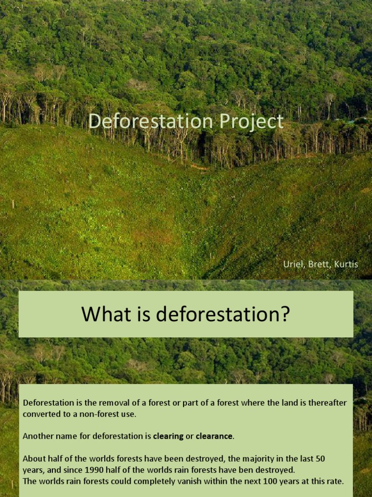 research project on deforestation