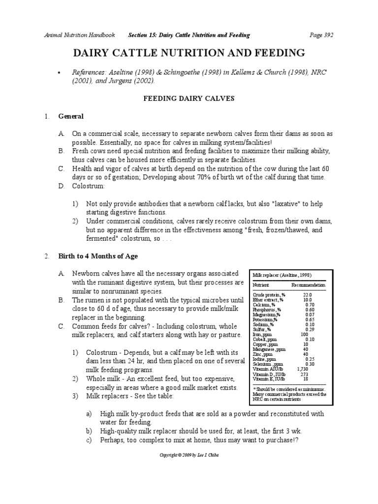 Cattle Feeding | PDF | Dairy Cattle | Calf