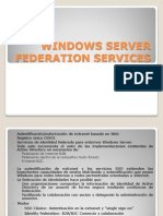 Windows Federacion service