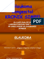 Glaukoma Kronik Simple