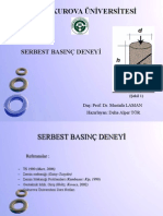 SERBEST BASINÇ DENEYİ Sunum