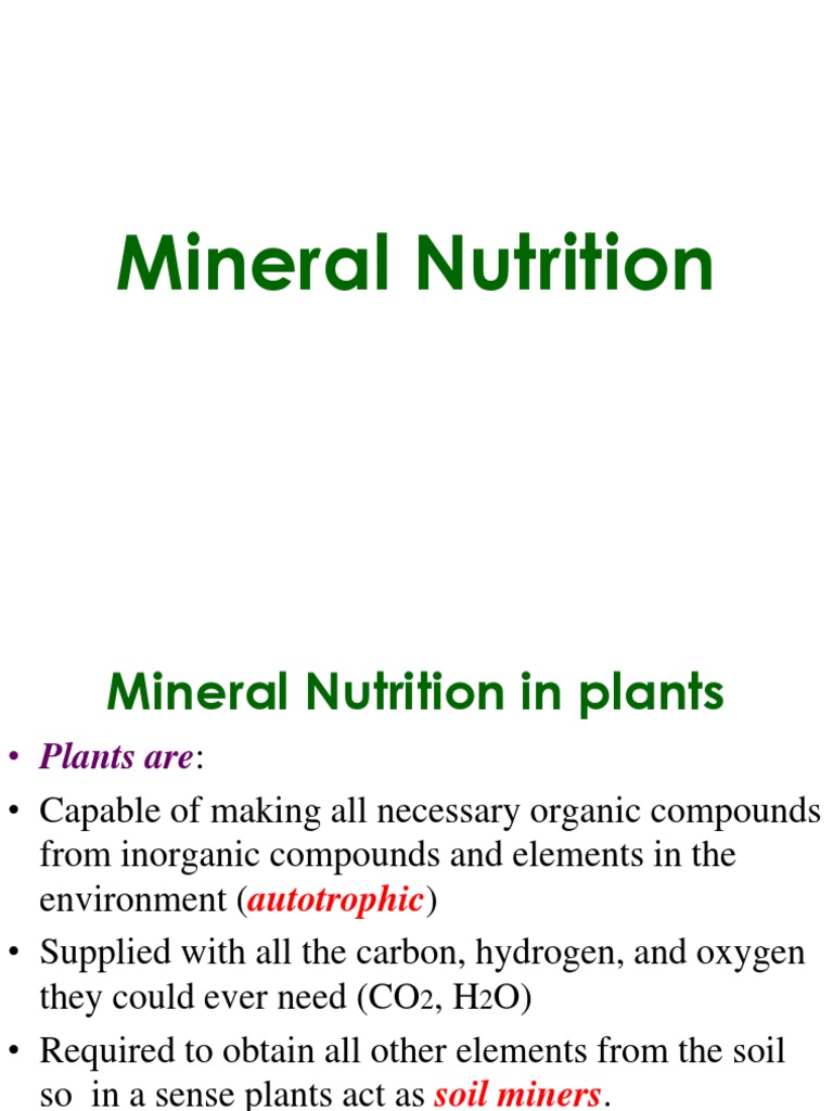 4 Mineral Nutrition Nutrients Root