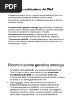 Download ricombinazione dna by Marco Jump SN117463625 doc pdf